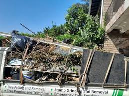 Best Moving and Downsizing Cleanouts  in Lake Lorraine, FL