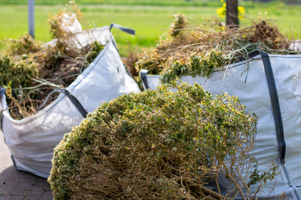 Best Property Management Cleanouts  in Lake Lorraine, FL